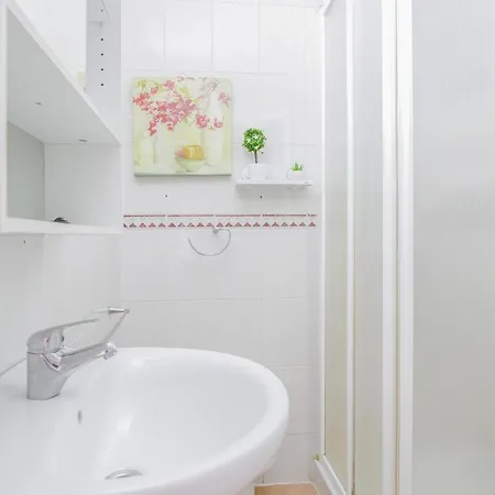 Centrico * 科拉雷侯